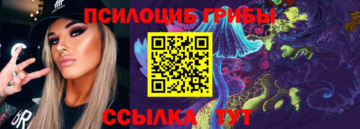 Псилоцибиновые грибы мицелий Ревда